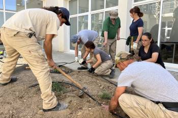 Tres cursos gratuitos mejorarán la empleabilidad de medio centenar de desempleados en la Vega Baja